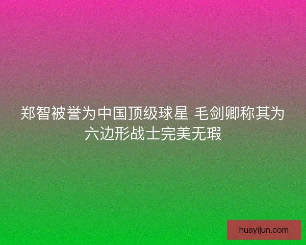 郑智被誉为中国顶级球星 毛剑卿称其为六边形战士完美无瑕 郑智被誉为中国顶级球星 毛剑卿称其为六边形战士完美无瑕