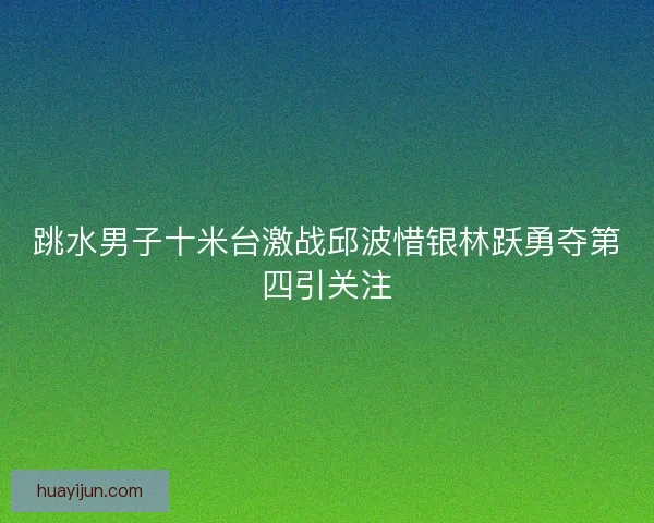 跳水男子十米台激战邱波惜银林跃勇夺第四引关注